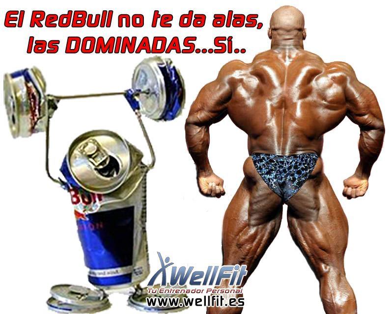 el redbull no te da alas dominadas si